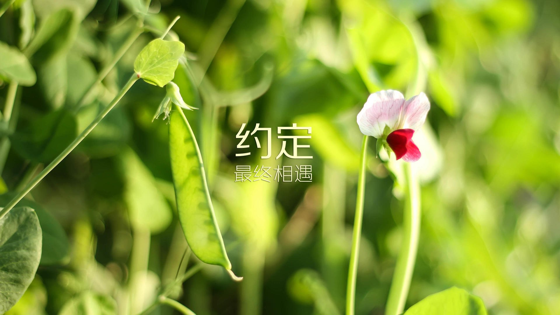 最新调查！经济学家看好三季度股市汇市保持韧性，经贸谈判结果影响可控